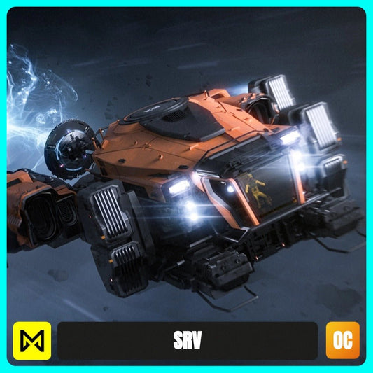 SRV - LTI Original Concept
